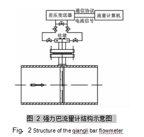 圖 2	強(qiáng)力巴流量計(jì)結(jié)構(gòu)示意圖