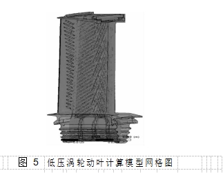 圖 5	低壓渦輪動葉計算模型網(wǎng)格圖