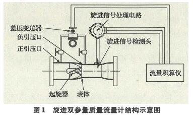 圖1旋進(jìn)雙參f質(zhì)f流f計(jì)結(jié)構(gòu)示意圖